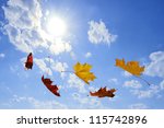 autumn falling leaves on blue sky