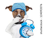 Small photo of sleepyhead dog tired with clock and funny nightcap