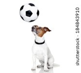 Soccer Dog With Spinning Ball...