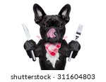 hungry french bulldog dog with tableware or utensils ready to eat dinner or lunch , tongue sticking out , isolated on white background