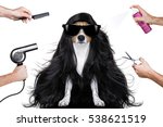 hairdresser dog ready to look beautiful by comb, scissors, dryer, and spray at the wellness spa salon, isolated on white background