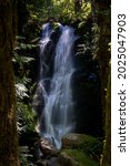 Merriman Waterfall In Quinault...