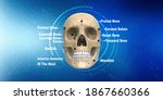 3d illustration human skull... | Shutterstock . vector #1867660366