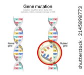 Gene Mutation Normal Dna And...