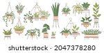 Set Of Plants In Hanging Pots....