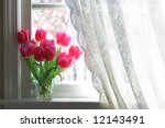 Tulips On Windowsill