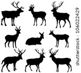 Deer Collection   Vector...