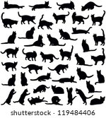 cats collection   vector... | Shutterstock .eps vector #119484406