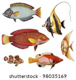 Tropical Fish Collection   Old...