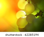 Close Up Of A Bunch Of Grapes...