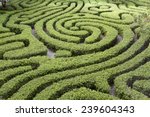 Ornamental Maze cut into hedge in Malaysian garden