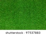 Green Grass Background Texture.