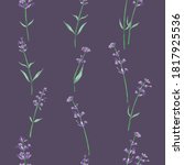 seamless pattern with lavender... | Shutterstock .eps vector #1817925536