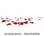 Red Rose Petals Scattered On...