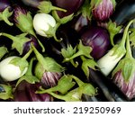 Fresh Harvested Eggplants Of...