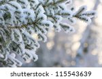 Snow Covered Tree Branch At...