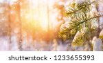 Winter Bright Background With...