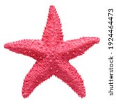 Red Starfish Souvenir  Handmade ...