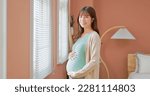 Small photo of asian pregnant woman looking at camera standing by the window stroking belly motherhood with lots of love and hope