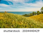 scenery with blooming wild... | Shutterstock . vector #2034440429