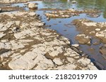 Small photo of Exposed parched riverbed of the Elbe River in Magdeburg, Germany during severe drought in summer