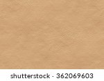 beige background genuine... | Shutterstock . vector #362069603