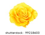 Beautiful Yellow Rose On A...