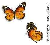 beautiful two monarch butterfly ... | Shutterstock . vector #1358125343