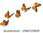 beautiful monarch butterfly... | Shutterstock . vector #1980729839