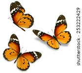 Three orange butterfly isolated ...
