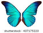 beautiful blue butterfly wings... | Shutterstock . vector #437175223