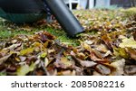 Small photo of In autumn there is a man with a leaf vacuum cleaner in the garden. Close up of how the device sucks leaves.