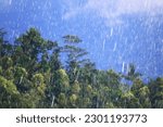 Small photo of rain asia green, background downpour rainy season typhoon