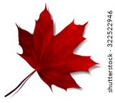 Realistic Red Maple Leaf...