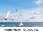 White Seagulls Flying Over...