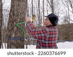 Small photo of Tapping a maple tree or Maple tree tapping using modern plastic tubing in a sugarbush located in Quebec, Canada. Maple syrup producer tapping maple tree.