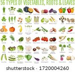 56 vegetables icons   this... | Shutterstock .eps vector #1720004260