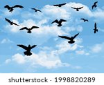 flying birds silhouettes ... | Shutterstock .eps vector #1998820289