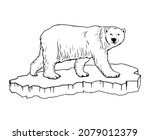 Polar Bear. Illustration Of A...