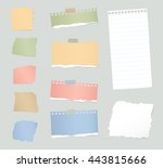 pieces of various gray and... | Shutterstock .eps vector #443815666