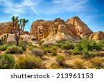 Boulders And Joshua Trees In...