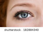 Human Blue Eye With Reflection. ...