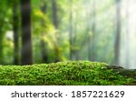 Green Mossy Log Background For...