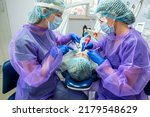Small photo of a competent dentist and his assistant perform the operation in the office to install a dental implant. Dentistry concept