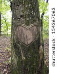 Heart In The Bark Of A Tree ...