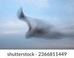 Flock of starlings rushed by a...
