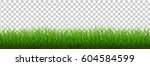 grass border   vector... | Shutterstock .eps vector #604584599