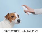 Small photo of treatment of dogs from ticks and fleas, the concept of treating dogs