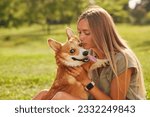 young girl hugging and kissing a cheerful Welsh Corgi and in the park in sunny weather, happy dogs concept