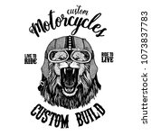 wild lion. biker  motorcycle... | Shutterstock .eps vector #1073837783